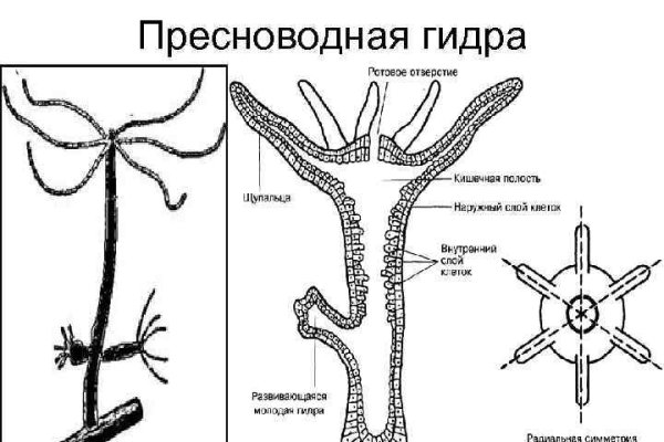 Kraken зарегистрироваться