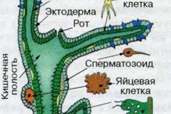 Kraken это современный маркетплейс