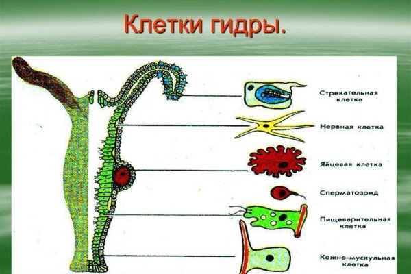 Кракен ссылка на тор официальная онион