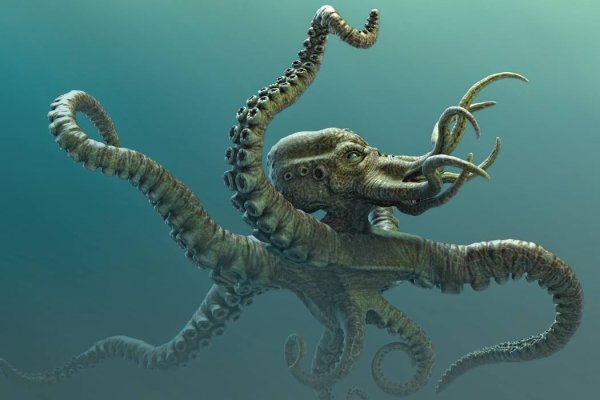 Kraken ссылка зеркало официальный