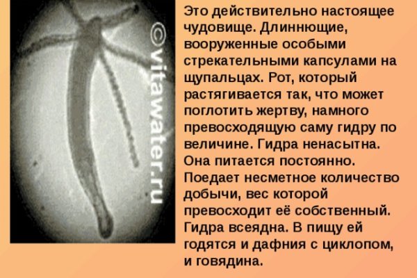 Где найти ссылку на кракен