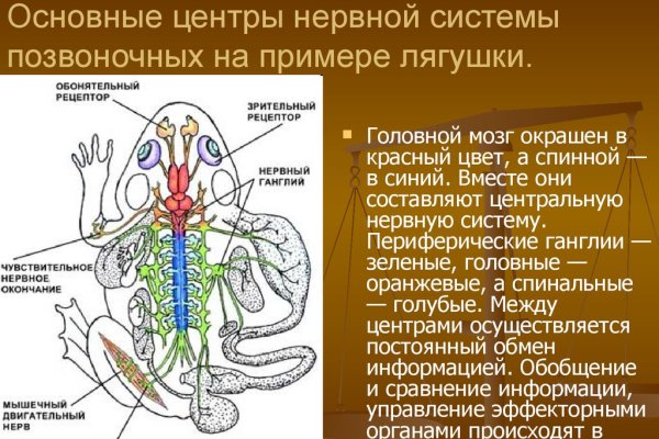 Кракен что за сайт